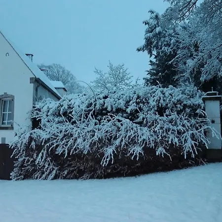 Altes Rathaus 아파트