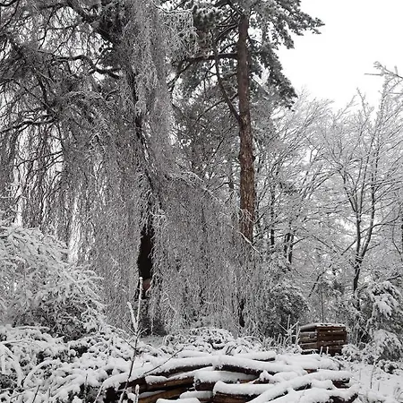 아파트 Altes Rathaus *