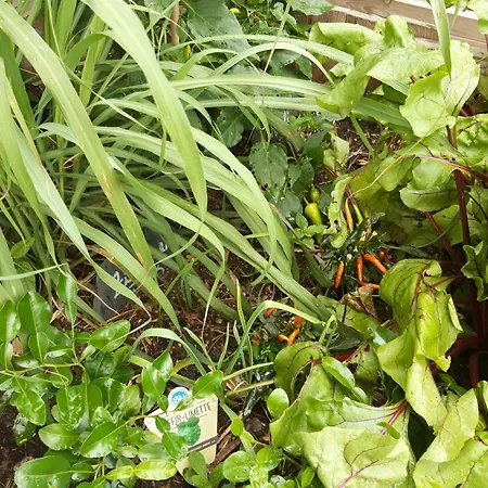 Altes Rathaus 아파트