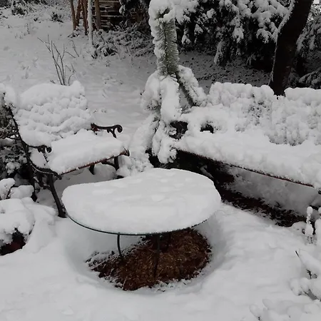 Altes Rathaus 아파트