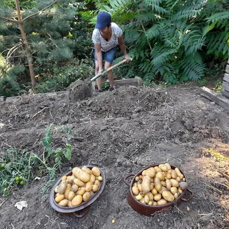 Altes Rathaus * 아헨