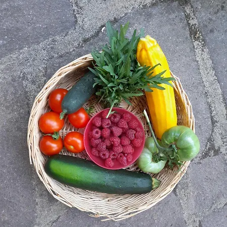 아파트 Altes Rathaus *