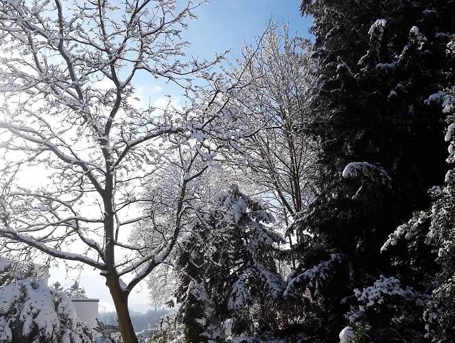 Altes Rathaus * Aquisgrán