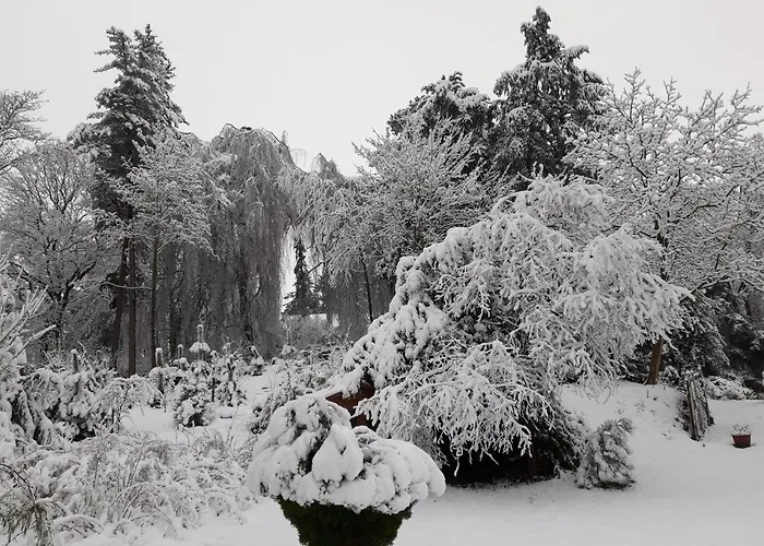 Apartamento Altes Rathaus