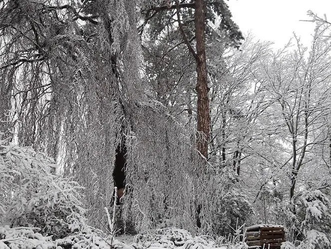 Apartamento Altes Rathaus *