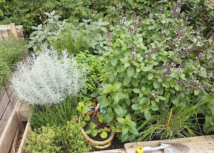 شقة Altes Rathaus آخن