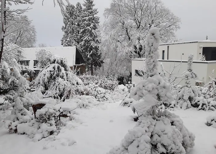 Altes Rathaus شقة