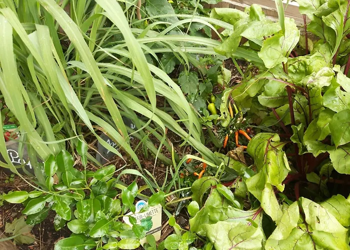 Altes Rathaus Apartamento