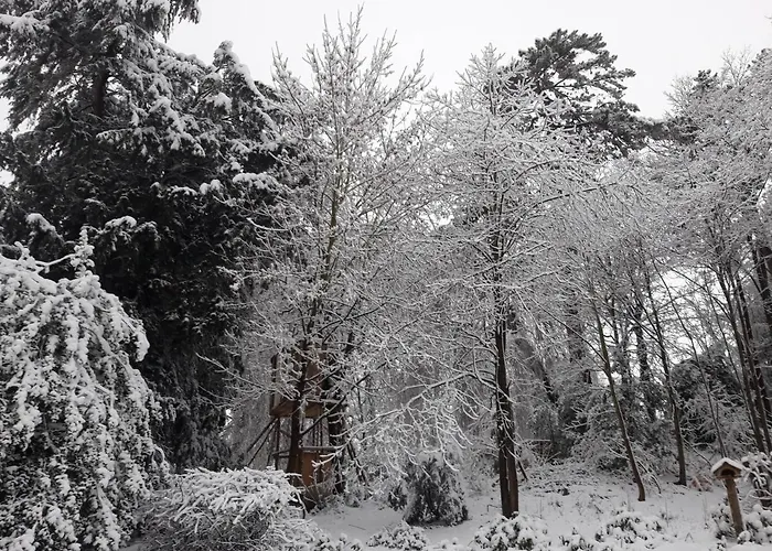 Altes Rathaus شقة