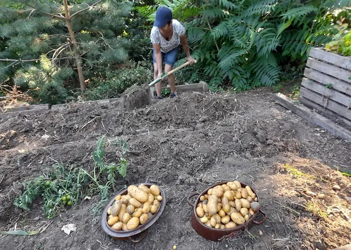 Altes Rathaus * Aquisgrán
