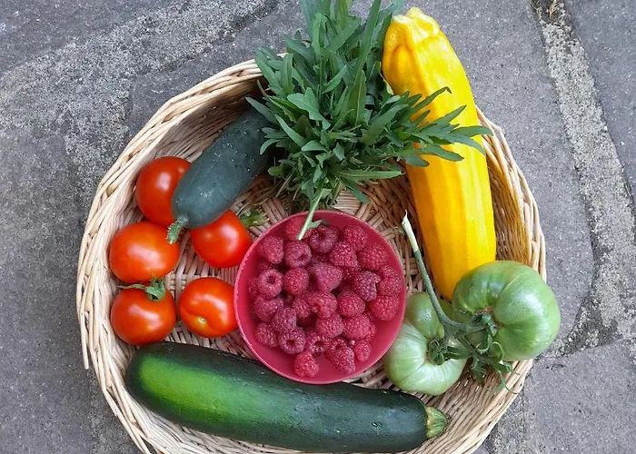 شقة Altes Rathaus *